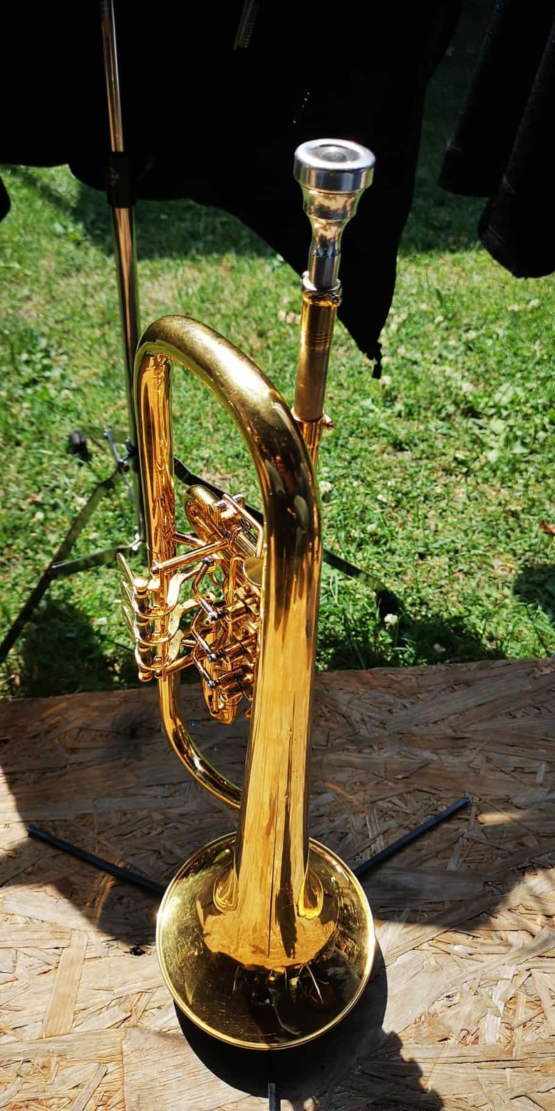 Auftritt 43